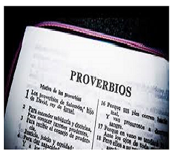 Provérbios que o não são e palavras na ponta da língua