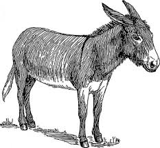 Da história da palavra burro à expressão «tijolo burro»