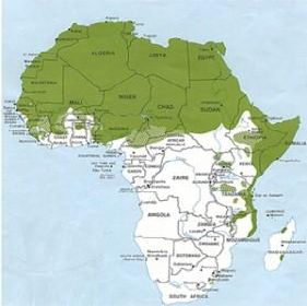 Línguas africanas no ensino e seu estatuto político
