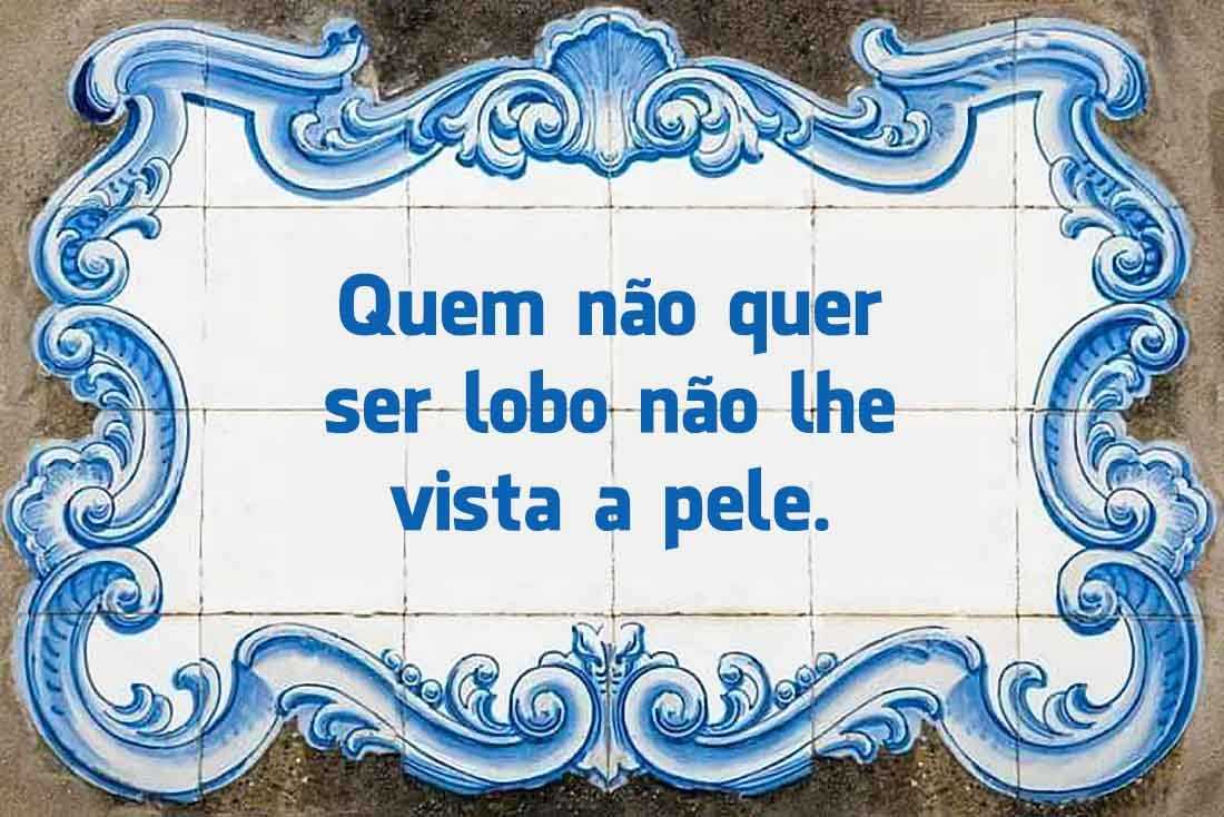 Provérbios antigos, estudos linguísticos, «conhece-te a ti mesmo», os brasileirismos e desordem vocabular