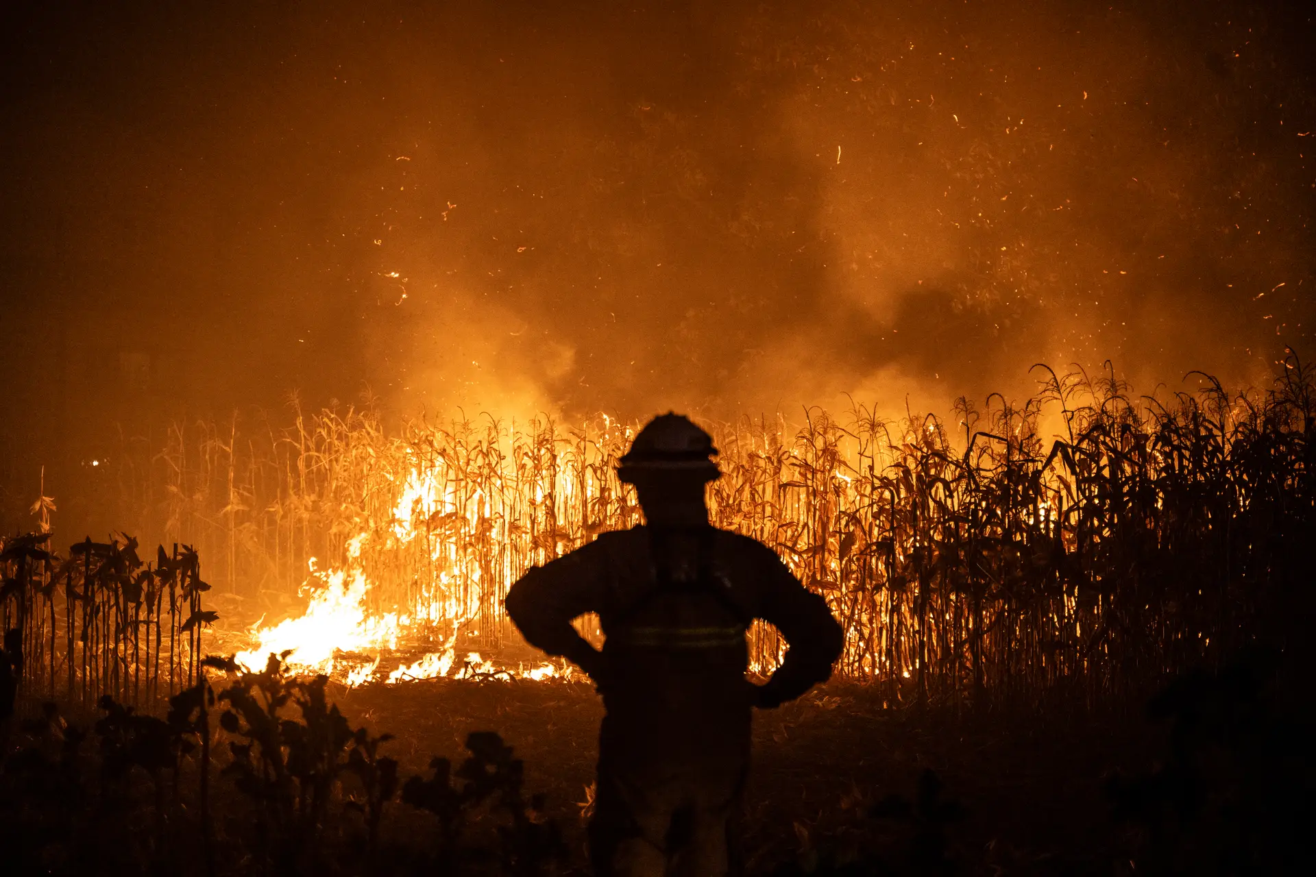 Incêndios: campo lexical e etimologia, a origem de Mourão, «ao encontro de» vs. «de encontro a» e o tropeção "à séria"