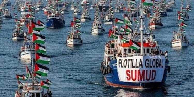Flotilha vs. frota, «renda moderada», o significado de um provérbio e a origem do nome pimenta-de-caiena