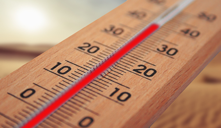 A expressão «refúgio climático»