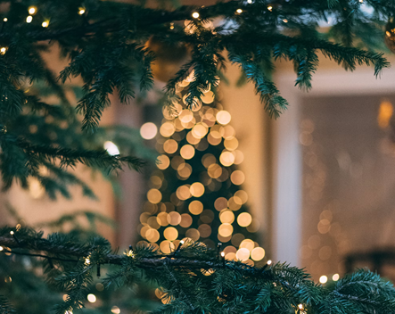 É Natal, é Natal, mas a língua leva a mal